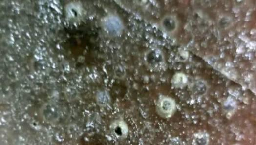 非常实用的古陶瓷文化行话之—瓷器缺陷
