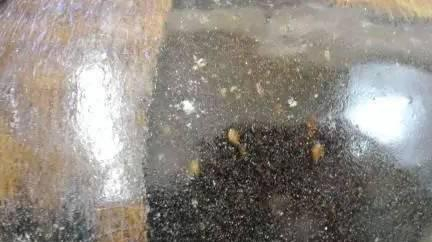 非常实用的古陶瓷文化行话之—瓷器缺陷