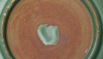 非常实用的古陶瓷文化行话之—瓷器缺陷