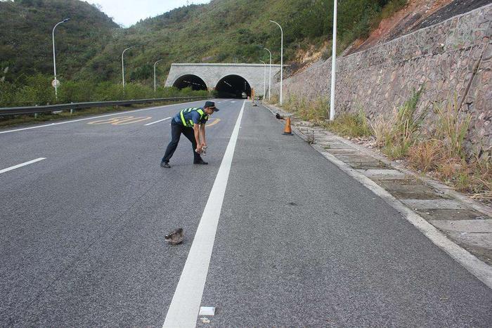 高速公路行车时遇石头，你会怎么做？看完这个救你一命！