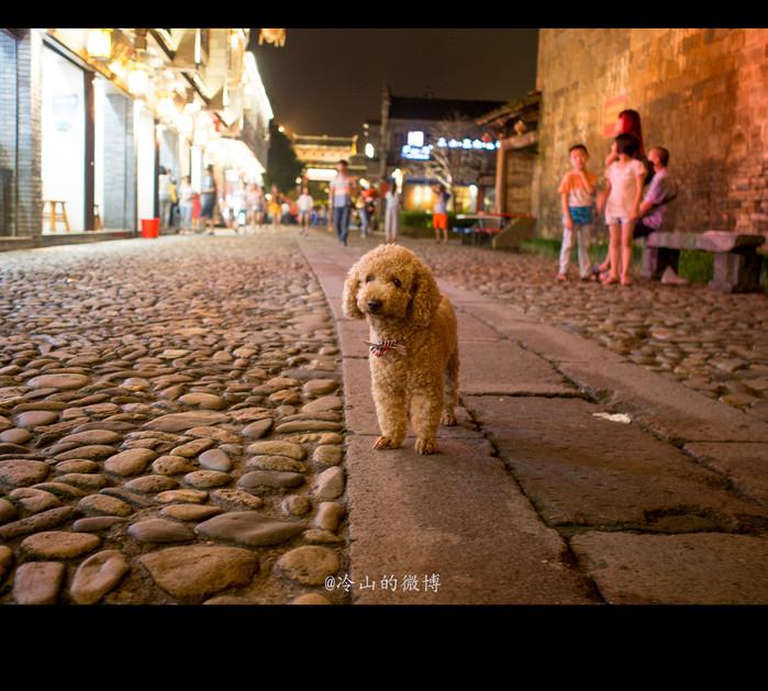 一座城，一条街 【泰宁古城夜游记】