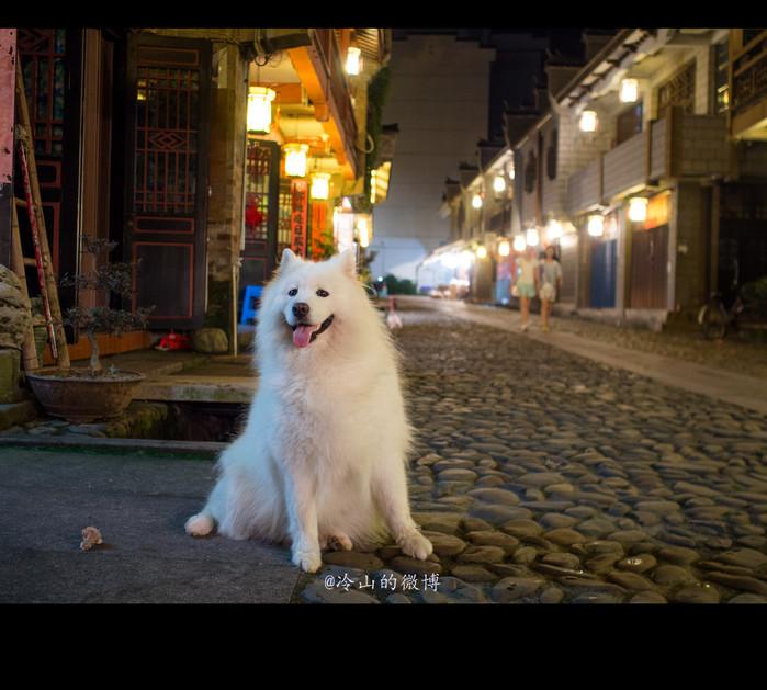 一座城，一条街 【泰宁古城夜游记】