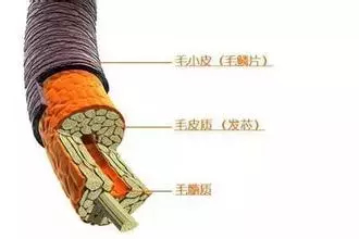 怪不得会买错产品,因为不懂这8种发质分类