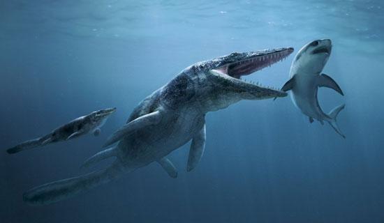 沧龙、梅鲸、巨齿鲨、龙王鲸谁才是真正的史前海洋霸主