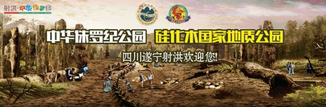 灵泉千年古柏构成世外红尘美景
