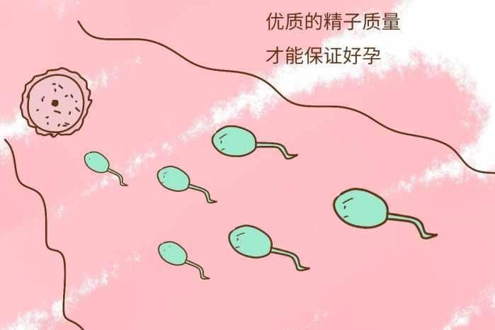 连体夫妻两年未能怀孕, 医生给完“特殊秘方”, 两人羞红了脸!