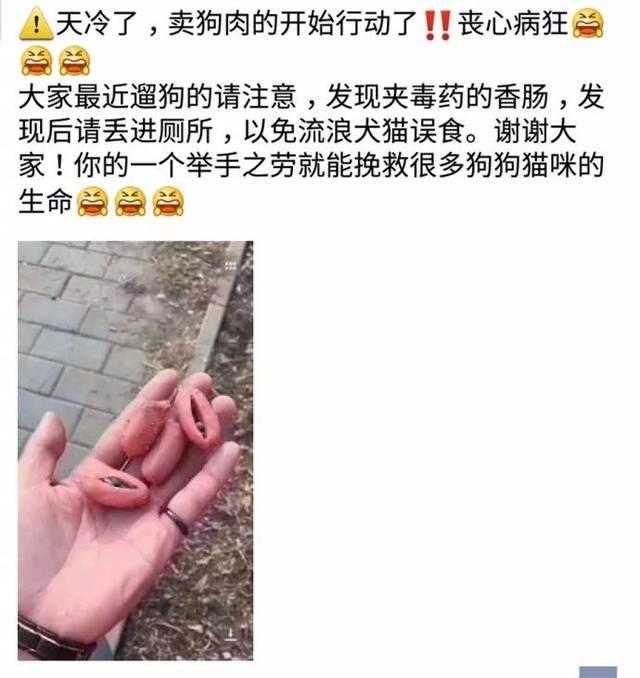 狗狗散步时吃了草地里的香肠，回家后便倒地死亡！