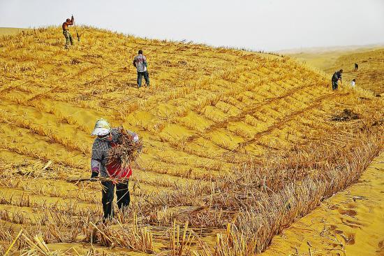 奇迹工程！中国在死亡之海修建一条致富路，20年绿化让死海变活海