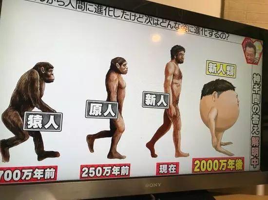 囧哥:2000万年后的人竟然长这样！头脑发达四肢简单