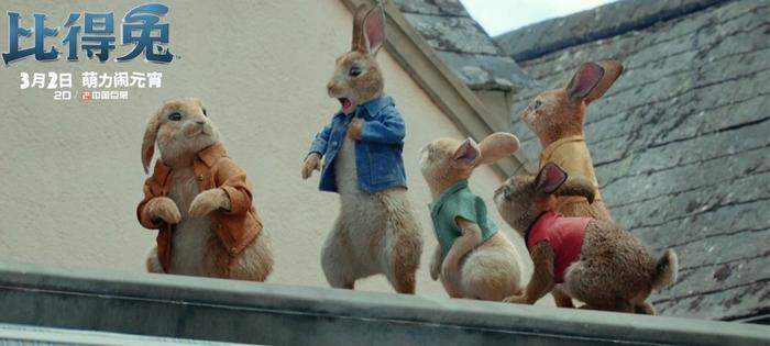 《比得兔》预售开启 兔界大佬颠覆形象搞怪搏出位