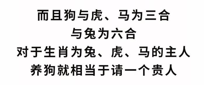 狗对人类那么好，为什么骂人却常带狗字？