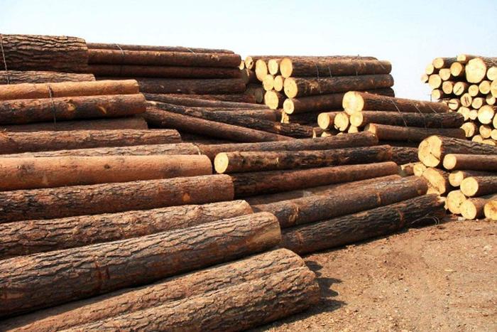 红木原材市场价格走势平稳，年底成交量略有上升