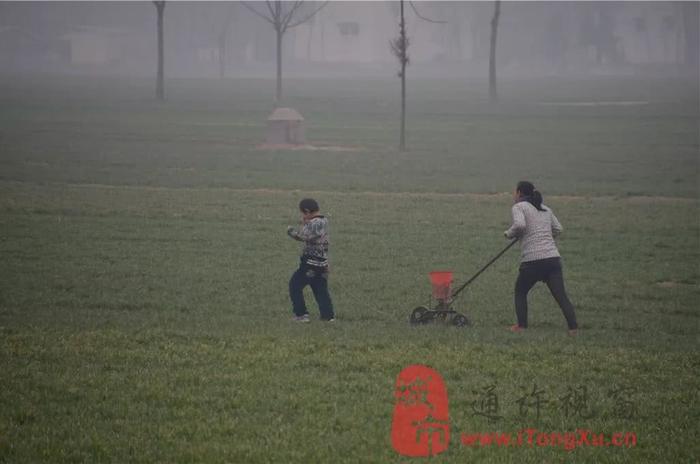 通许老家房子破破烂烂，为什么要回老家过年？