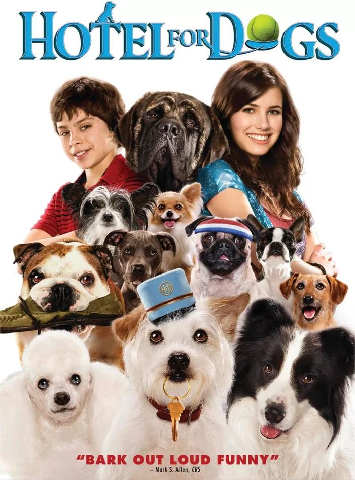 你和孩子不容错过的10部狗狗电影！