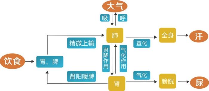 补阳气是最好的健康方式！