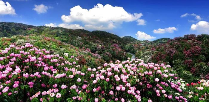 各地等级划分出炉，毕节居然排在……，你的家乡是几线城市呢？