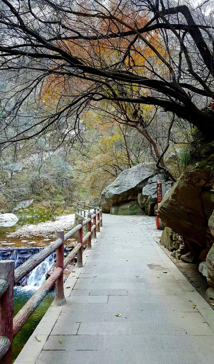 一个华北村庄里的全球史...