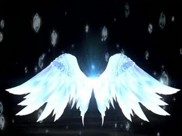 叶罗丽测试：你认为哪款翅膀最亲切？测前世的你是哪族神灵！超准
