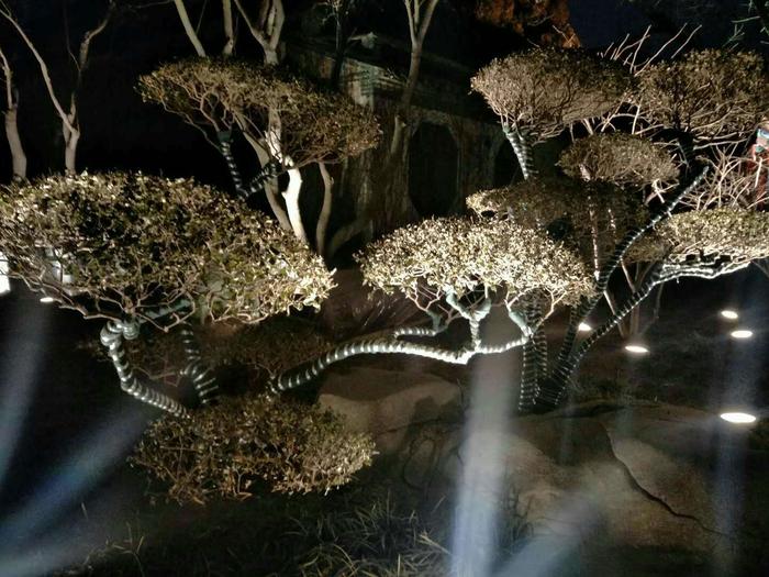 大明湖夜景美丽迷人，如梦似幻的灯光让大明湖畔既温暖又靓丽