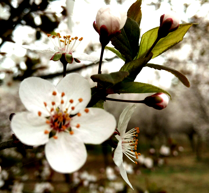 破格复试到底是什么？