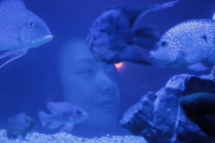 贾樟柯监制李梦主演《海上浮城》入围圣丹斯国际电影节