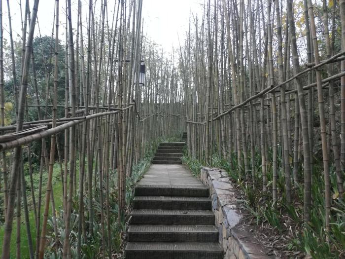打望新建成的江北嘴塔山公园，繁华市区中的一块绿肺