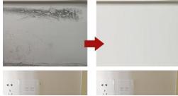 墙壁起泡脱落发霉太难看？这个土方法就能搞定，一共不到几块钱