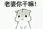 仓鼠表情包(夫妻专用哦!)