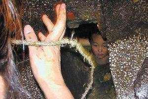 5岁娃掉进粪坑求救,父母跑来跑去却未救他,真相让人流泪