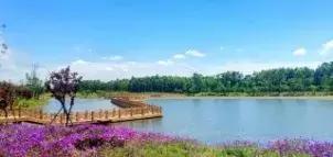 耍起：成都桤木河湿地公园二期美如画，周末去耍起啊！