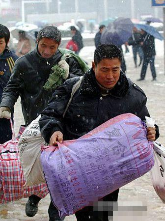 在白宫门口打地铺一个美国老太的三十五年抗议人生...