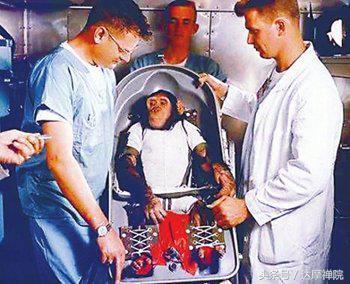 史上首次进入太空的“动物宇航员”-黑猩猩-哈姆(Ham)