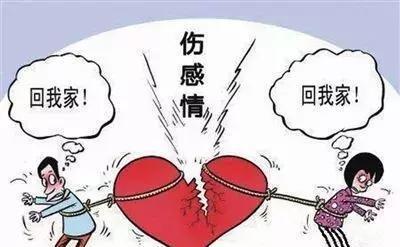 小两口争论回谁家过年 这个国民难题你怎样选？