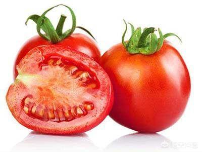 西红柿能不能生吃？