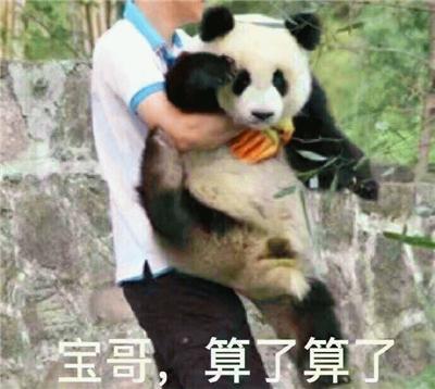 大熊猫表情包套图：兽人永不为奴