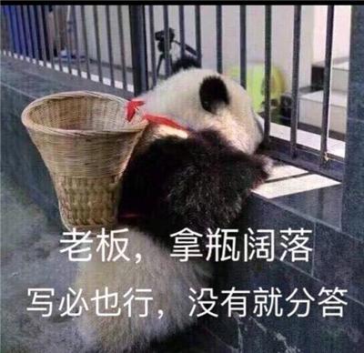 大熊猫表情包套图：兽人永不为奴