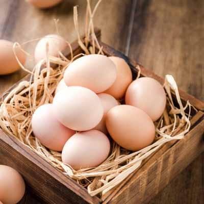 白皮鸡蛋价格高些，真的比红皮鸡蛋更有营养吗？