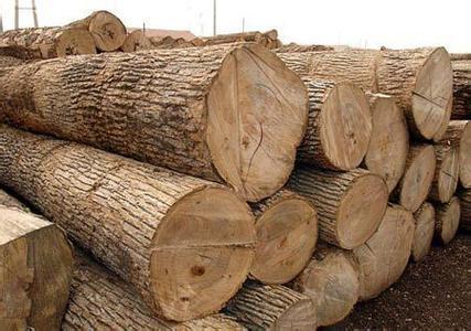 世界10大名贵木材排行榜，快看看中国有几种？