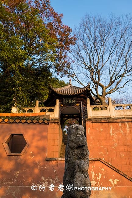 匹兹堡大桥垮塌！在拜登万亿基建演讲前，美基建危机究...