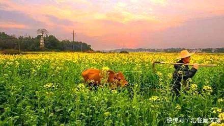 2018湖南油菜花赏花地图出炉！最美线路全包了！