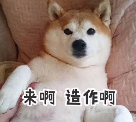 星座到底看农历还是阳历，看了这个才知道，原来我们都错了
