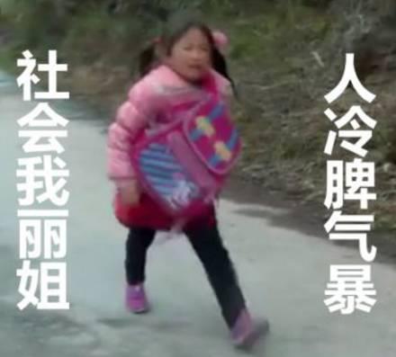 2017年网络流行语表情包大盘点，你要的梗都在这了！