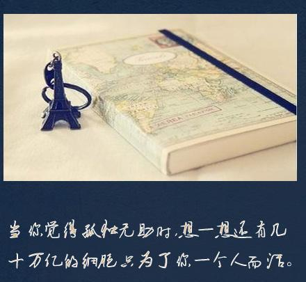 一句话教你怎样笑看人生(一)