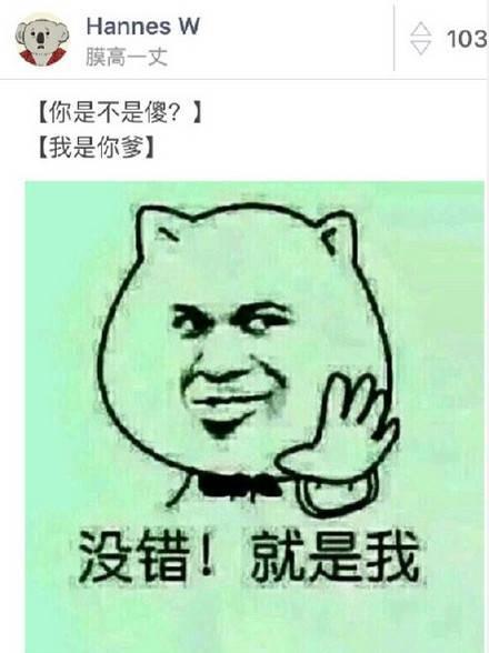 搞笑，当别人说你是不是傻的时候？该怎么回复才显得有B格？