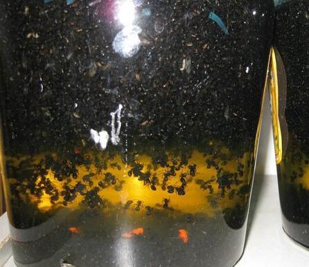 八大药酒配方（三）