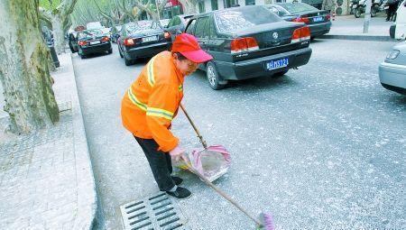 郑州金水区最奇葩街道，竟然会下“鸟屎雨”，行人躲避纷纷逃离