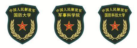 揭秘解放军“15式”系列臂章胸标