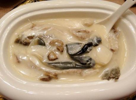 潮汕人吃的“乖鱼”究竟是不是河豚？为什么在潮汕可以随便宰杀