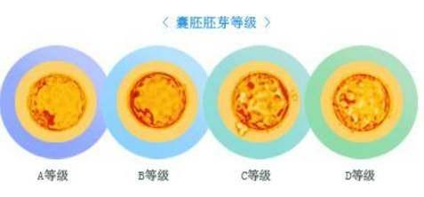 試管嬰兒多次移植不著床或生化,怎么辦?我這么做后終于成功了!