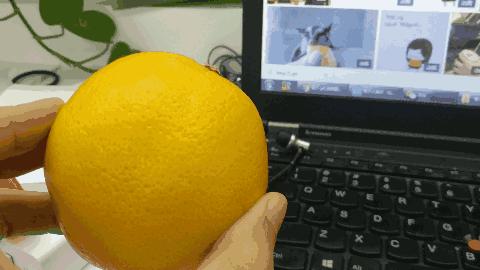 橙子测评丨超市常见的5种橙子，哪一种最好吃？
